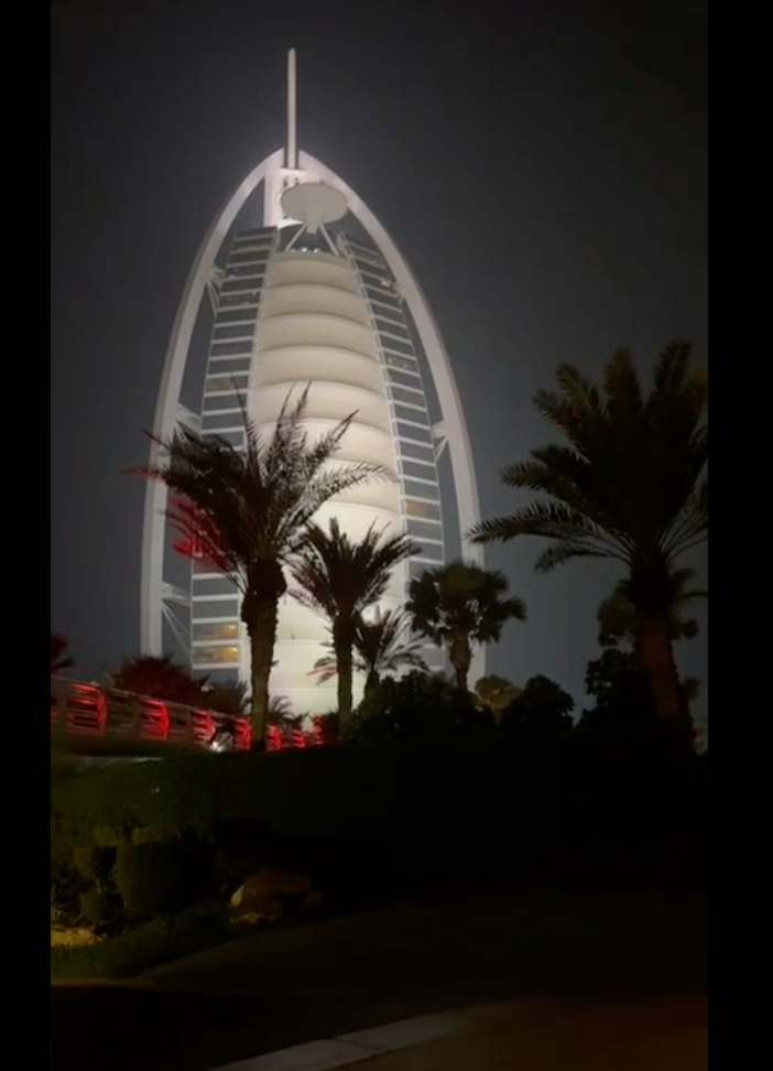 Ilyumzhinov pribyl v OAE